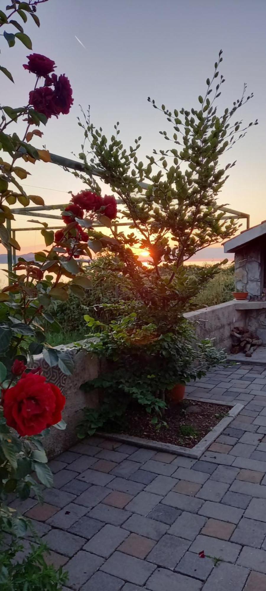 Mustapictanja Daire Bibinje Dış mekan fotoğraf